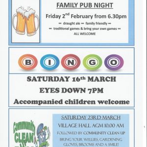 poster agm bingo pub night